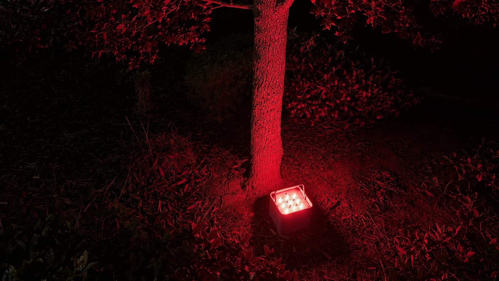 Square multi-emitter LED PAR positioned at short throw below a tree, lighting the trunk and foliage red; no wall or distinct RGB colored shadows are visible in this scene