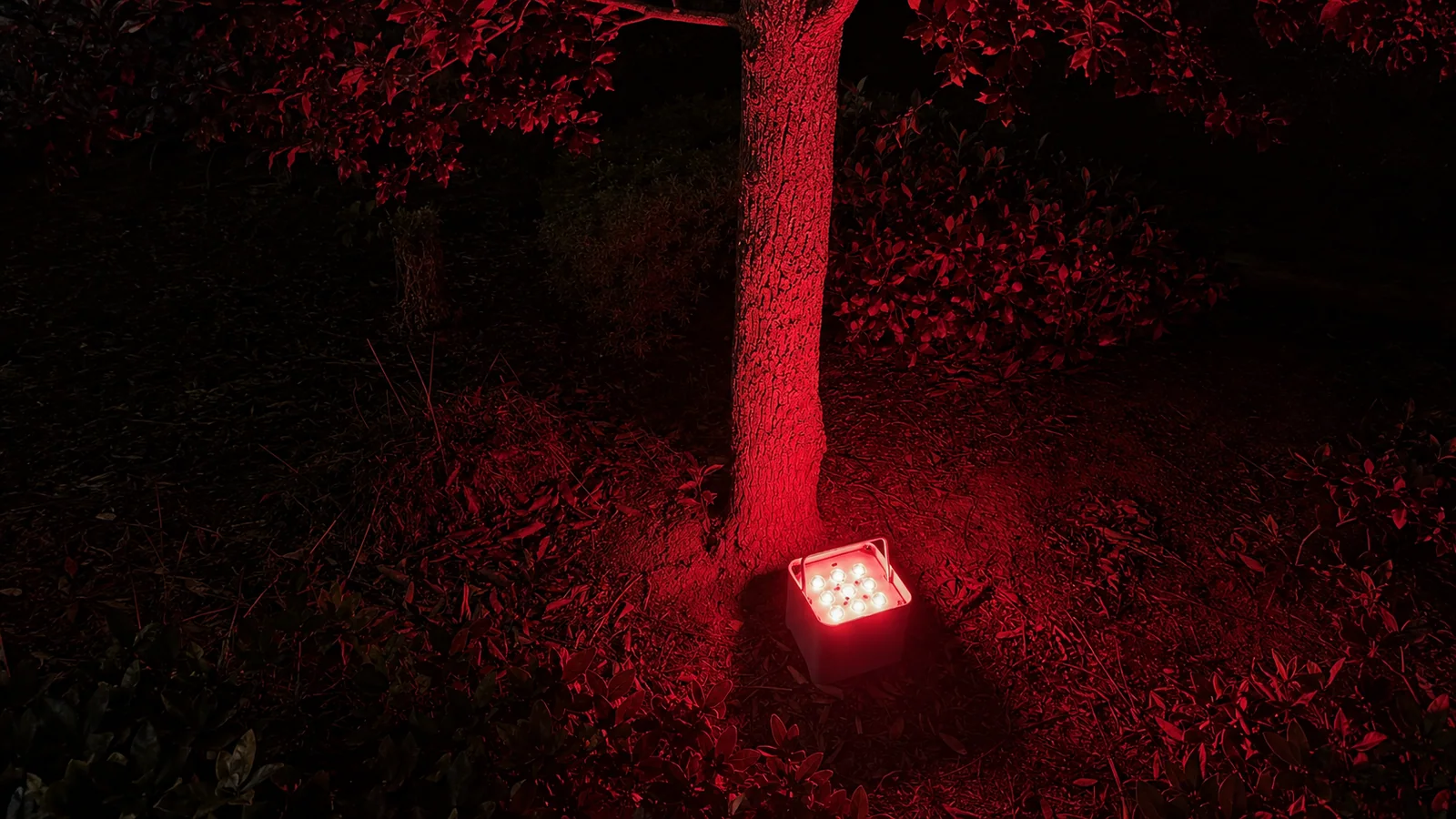 Square multi-emitter LED PAR positioned at short throw below a tree, lighting the trunk and foliage red; no wall or distinct RGB colored shadows are visible in this scene